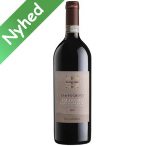 TENUTE SALVATERRA- Amarone DOCG Campocroce 2015 - nyhed